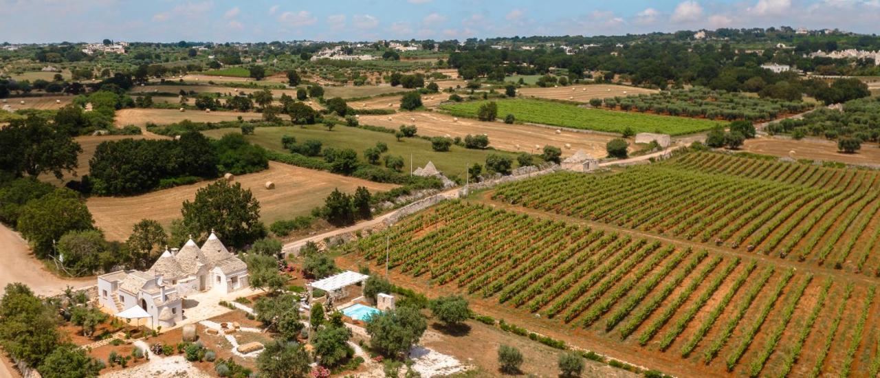 マルティナ・フランカ Trulli Audendumヴィラ エクステリア 写真